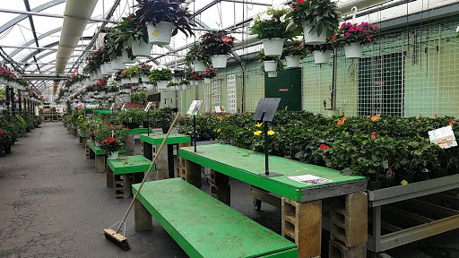 Garden Center «Dees Nursery & Florist», reviews and photos, 69 Atlantic Ave, Oceanside, NY 11572, USA
