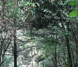 Entrada a Parque Los Dinamos photo