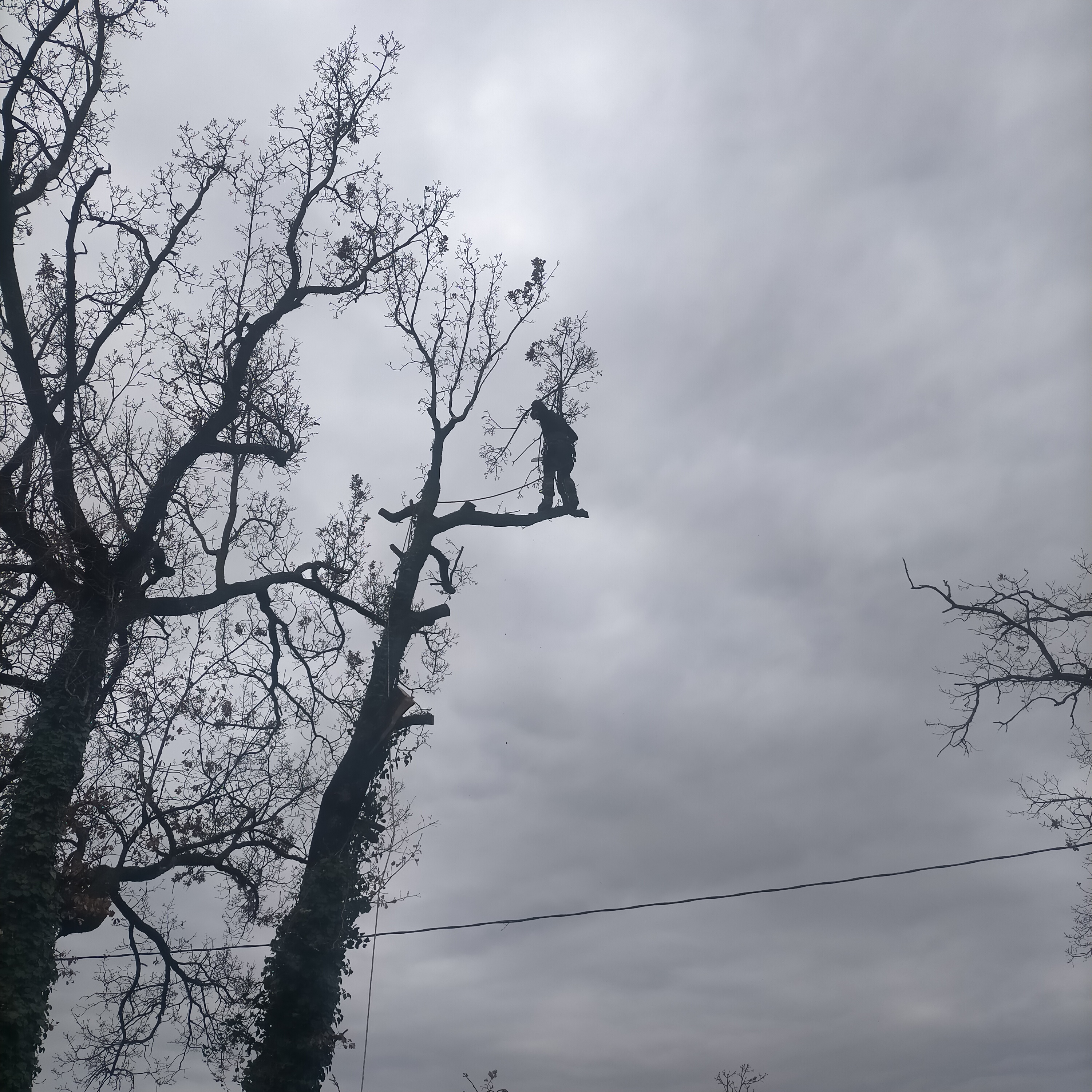 Photo n° 3 de l'avis de Cecile.c fait le 28/02/2024 à 15:37