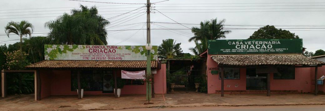 Casa e Floricultura Criação