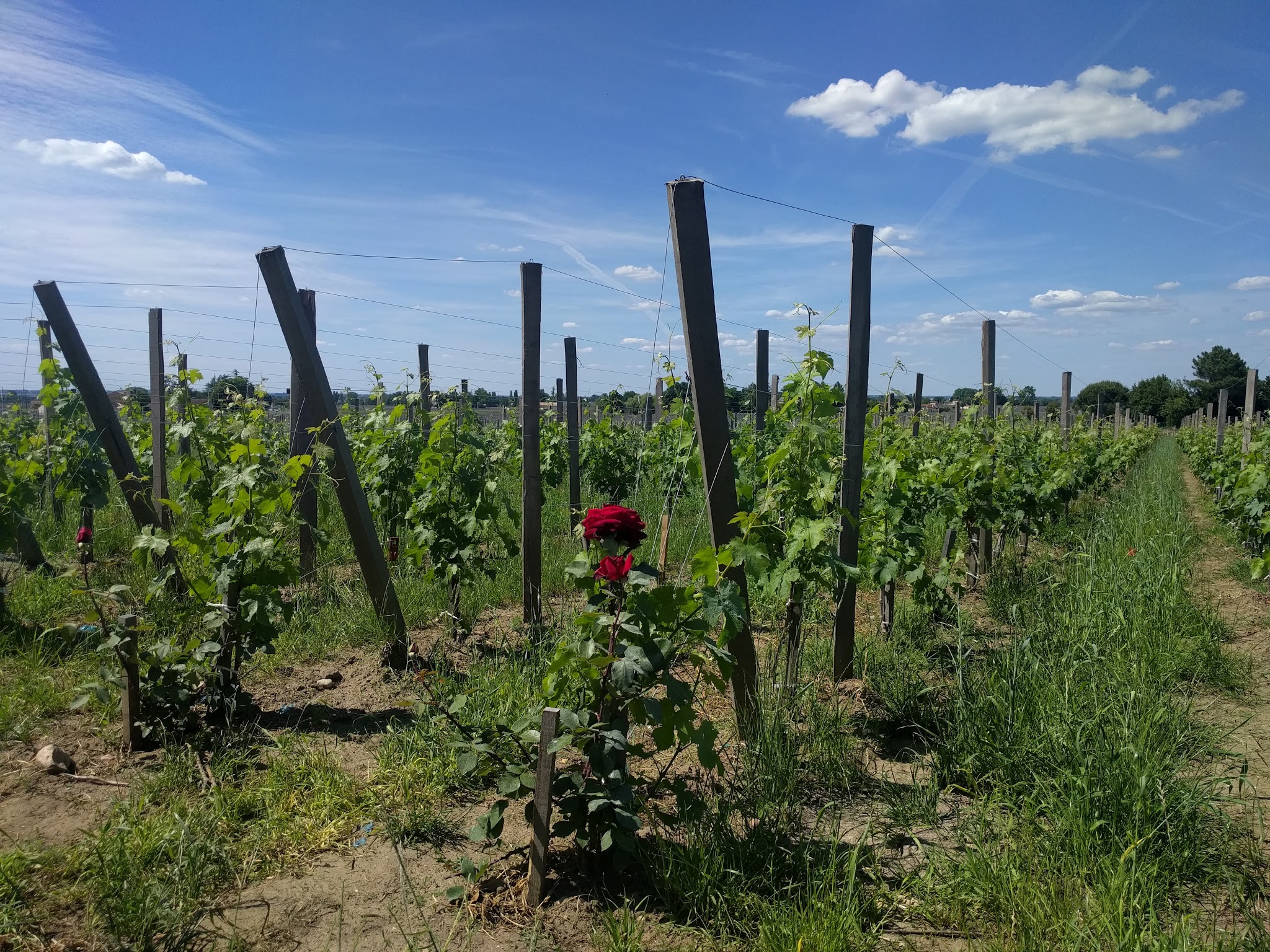 Photo n° 1 de l'avis de Anita.l fait le 19/06/2017 à 10:42