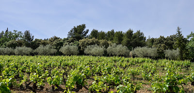 Domaine Chaume Arnaud à Vinsobres