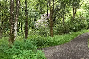 Rossmore Forest Park image