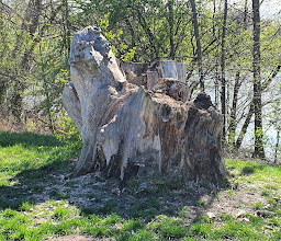 Döhrener Masch Park photo