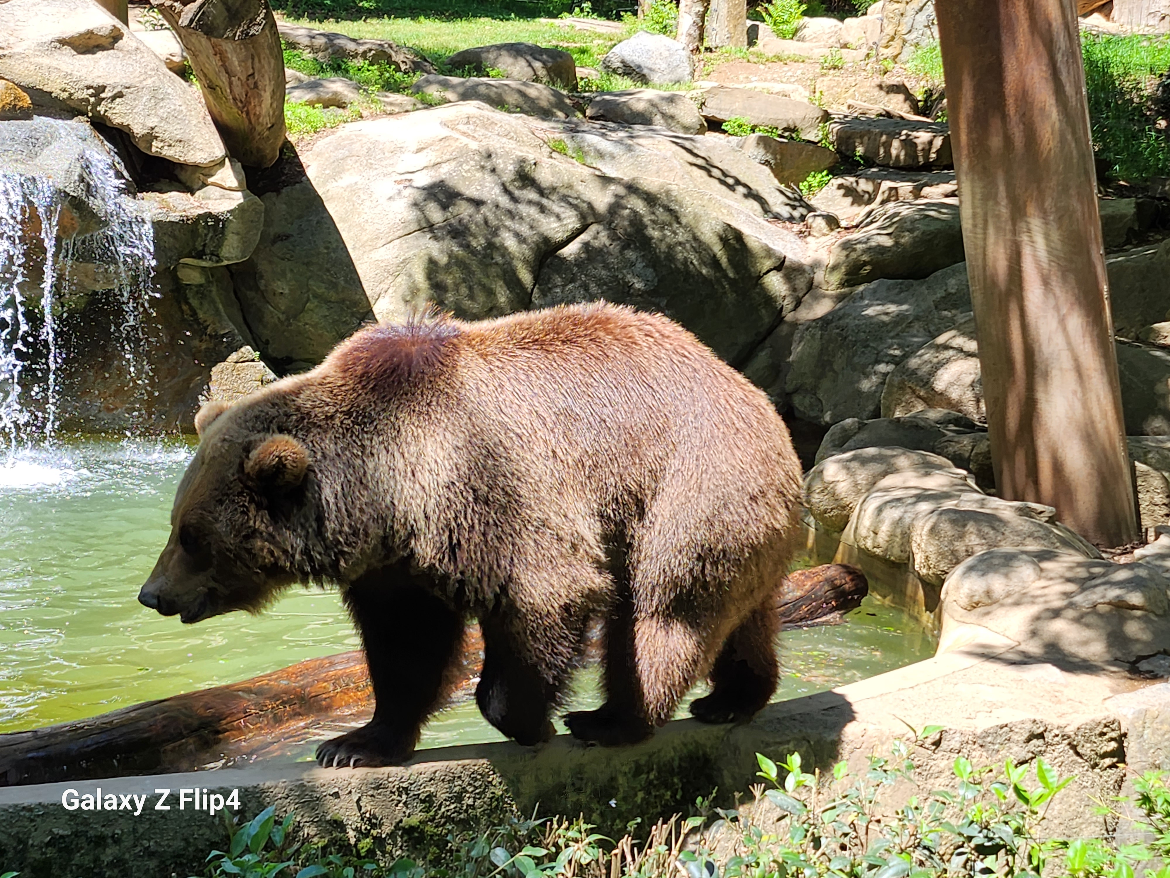 Photo n° 4 de l'avis de pascal.h fait le 02/05/2023 à 19:13