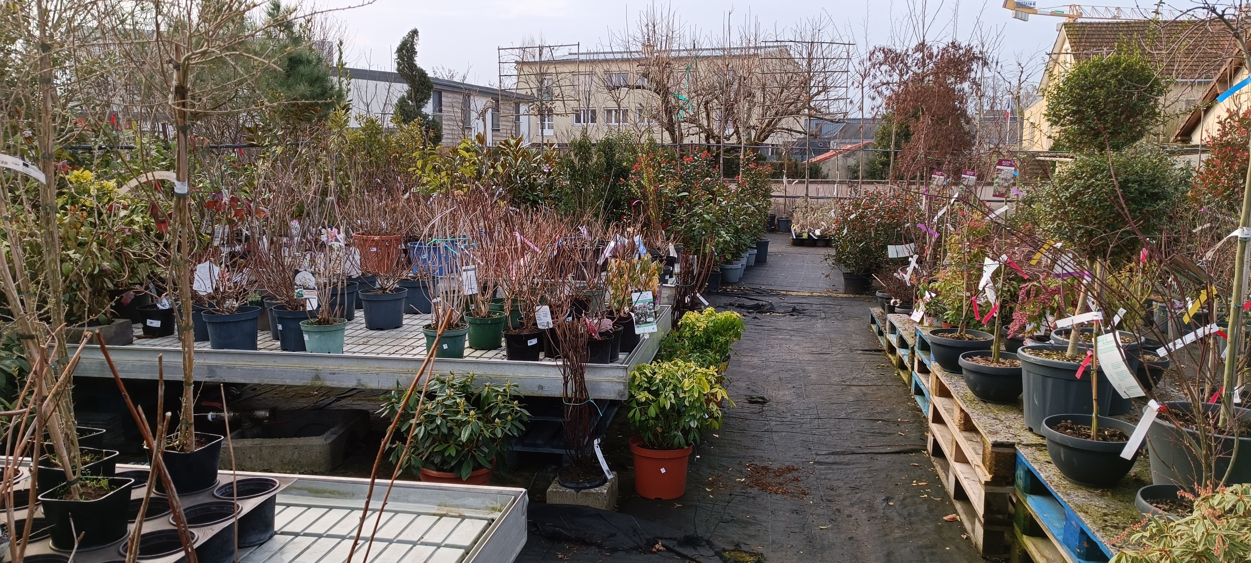 Photo n° 16 de l'avis de Christophe.e fait le 24/02/2023 à 08:48