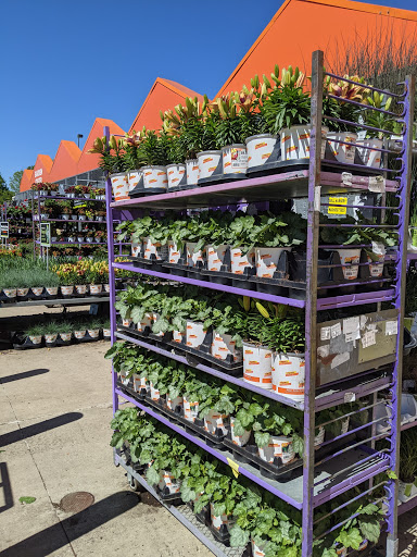 Home Improvement Store «The Home Depot», reviews and photos, 782 PA-113, Souderton, PA 18964, USA