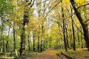 Geithewald image