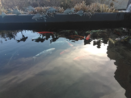 Aquarium «Toledo Zoo Aquarium», reviews and photos, 2700 Broadway St, Toledo, OH 43609, USA