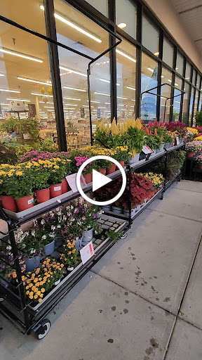 Grocery Store «Weis Markets», reviews and photos, 315 US-206, Hillsborough Township, NJ 08844, USA