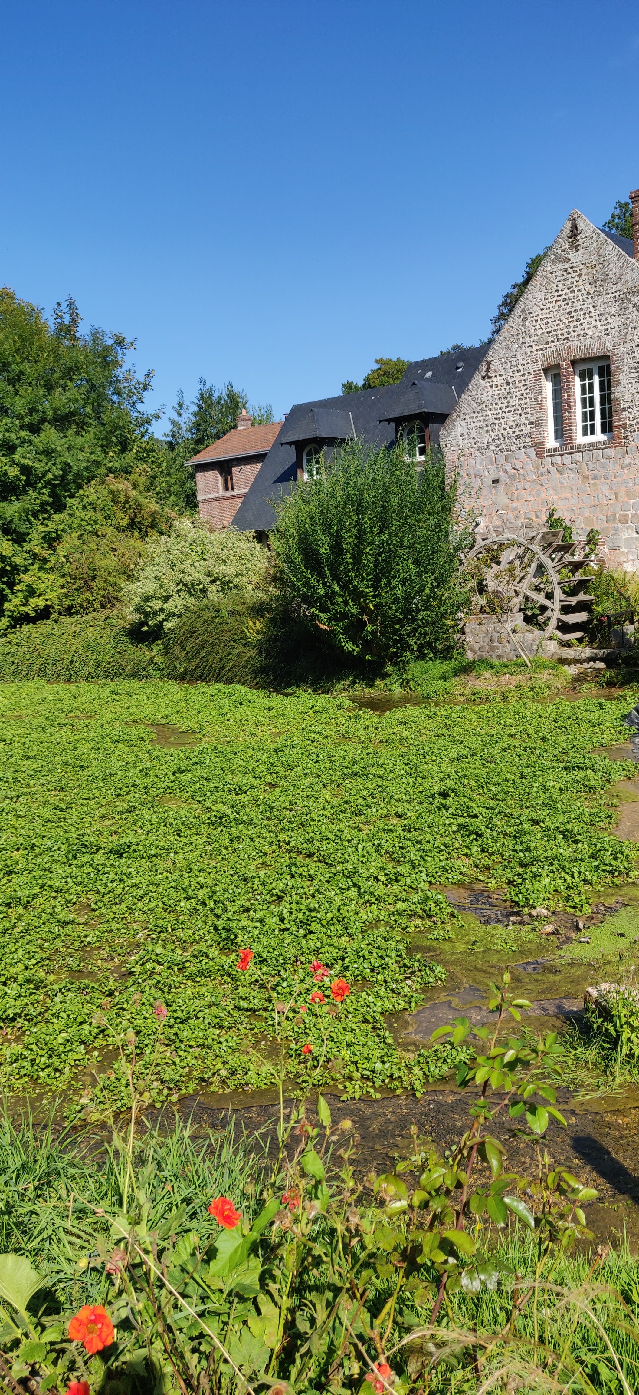 Photo n° 11 de l'avis de Thomas.U fait le 23/08/2019 à 17:50