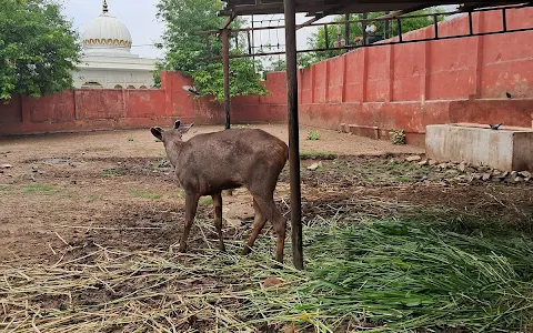 Gwalior Zoo image