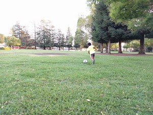 Sinnott Park - photo 3