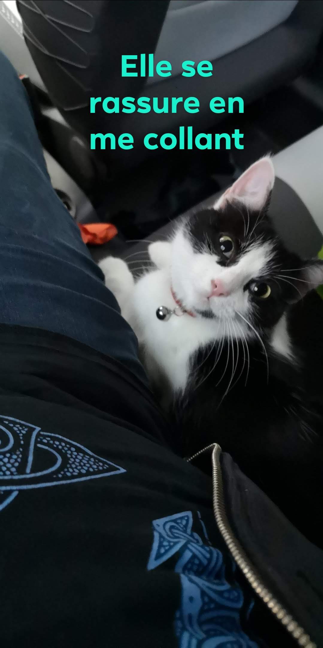 Photo n° 1 de l'avis de Rémy.h fait le 28/02/2020 à 11:01