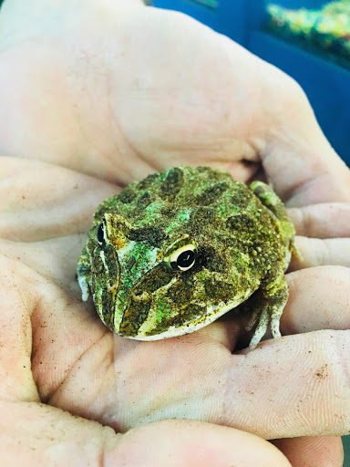 Pet Store «Pet World - Auburndale», reviews and photos, 3637 Havendale Blvd, Auburndale, FL 33823, USA