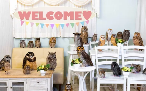 Owl Cafe Tokyo image
