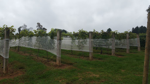 Winery «Basignani Winery», reviews and photos, 15722 Falls Rd, Sparks Glencoe, MD 21152, USA
