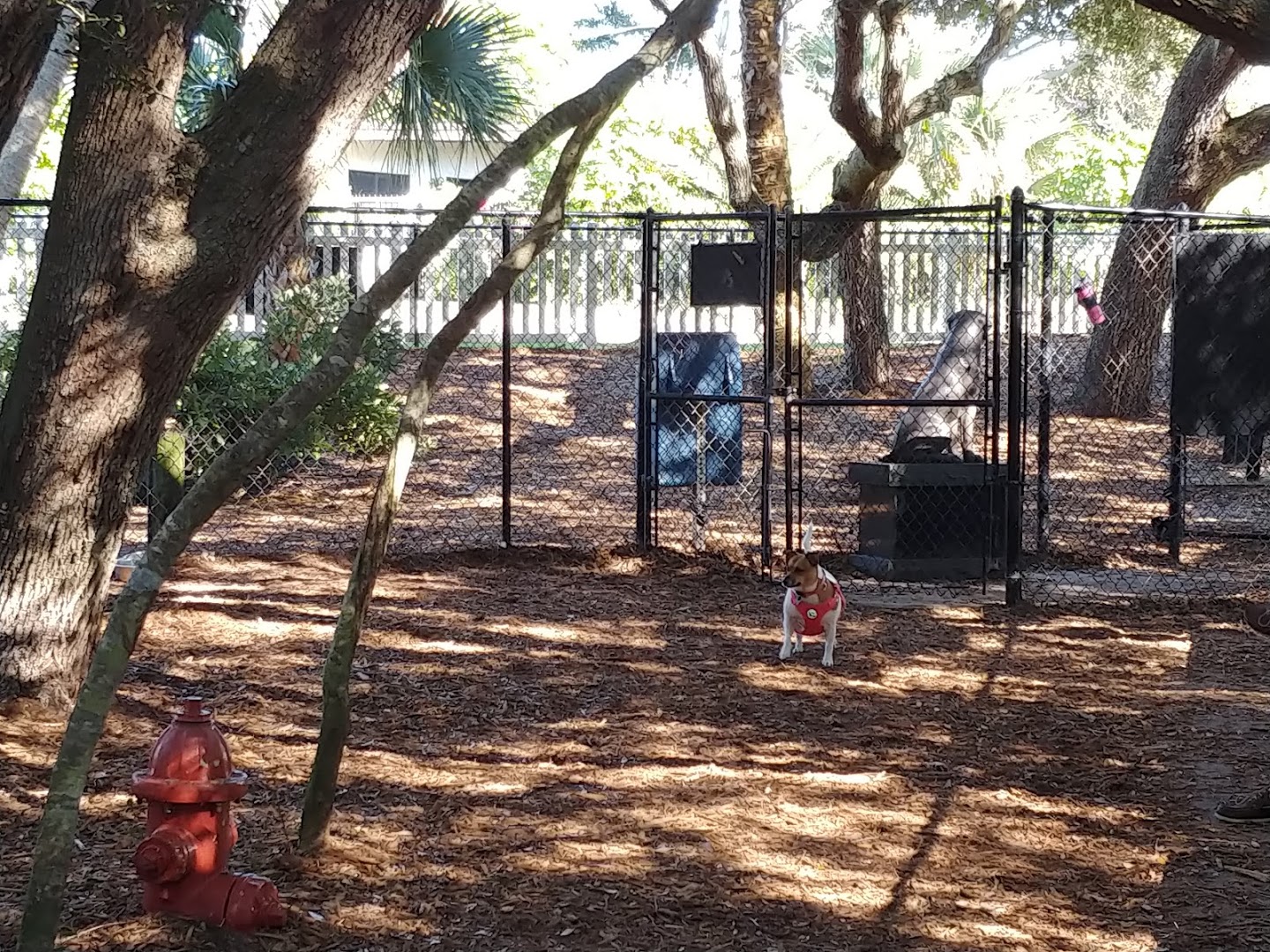 Happy Tails Dog Park - Ponce Inlet