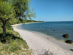 Photo de Ponta da Farinha avec rivage droit, long