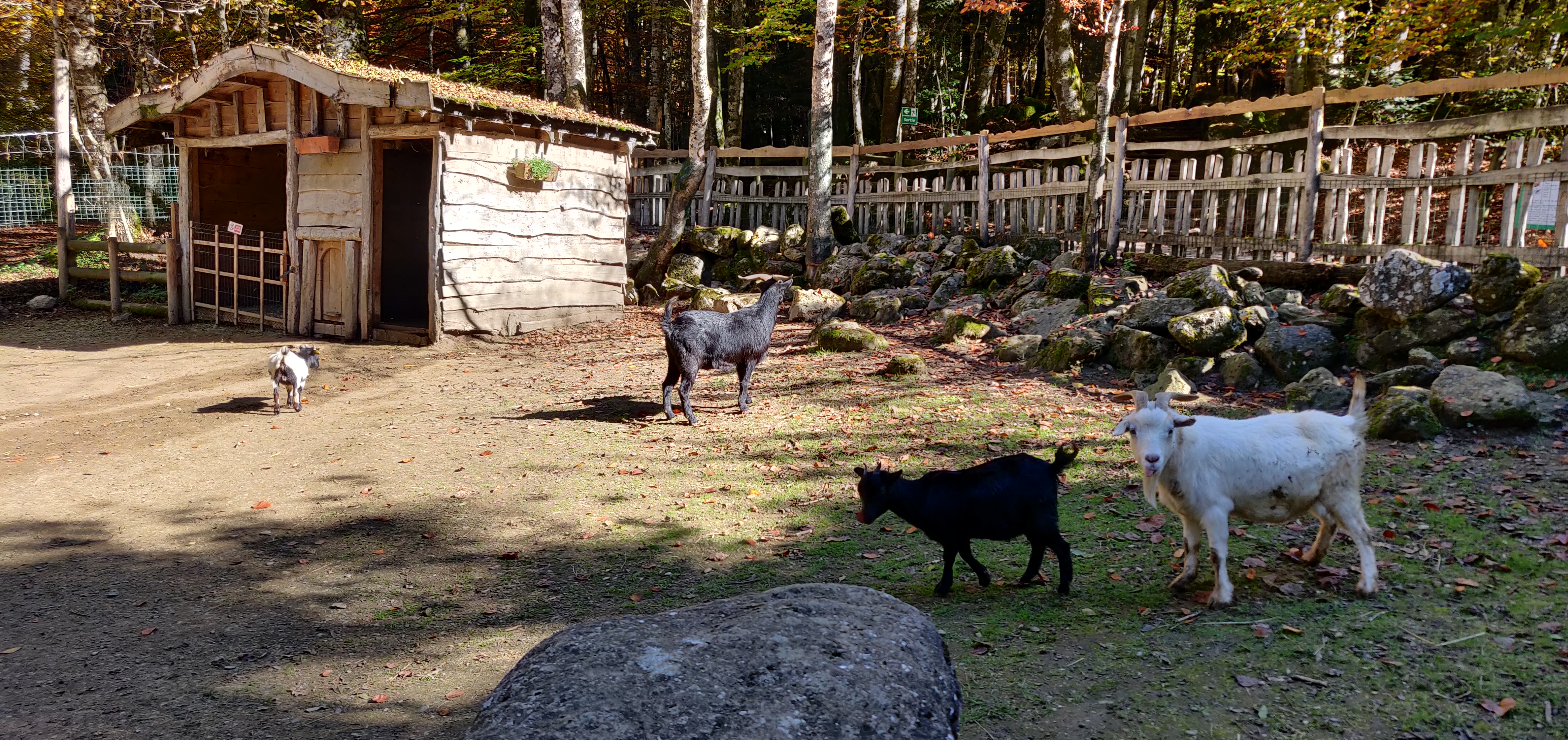 Photo n° 8 de l'avis de Arti.l fait le 29/10/2021 à 16:50