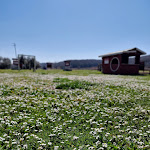 Photo n°13 de l'avis de Roberto.c fait le 01/11/2020 à 20:46 sur le  Locanda dei Massimi à Rome