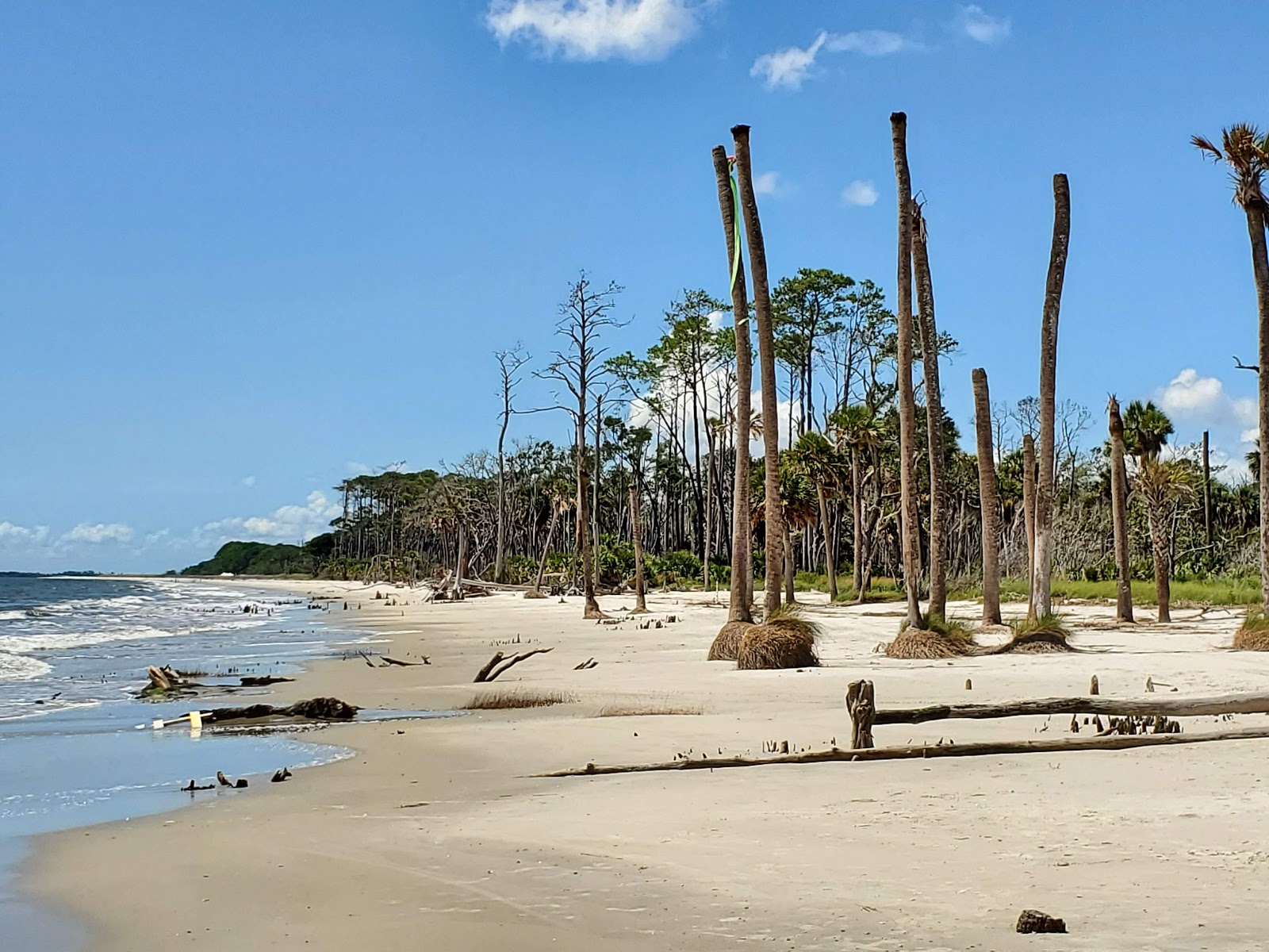 Daufuskie Island的照片 位于自然区域