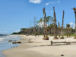 Foto von Daufuskie Island - beliebter Ort unter Entspannungskennern