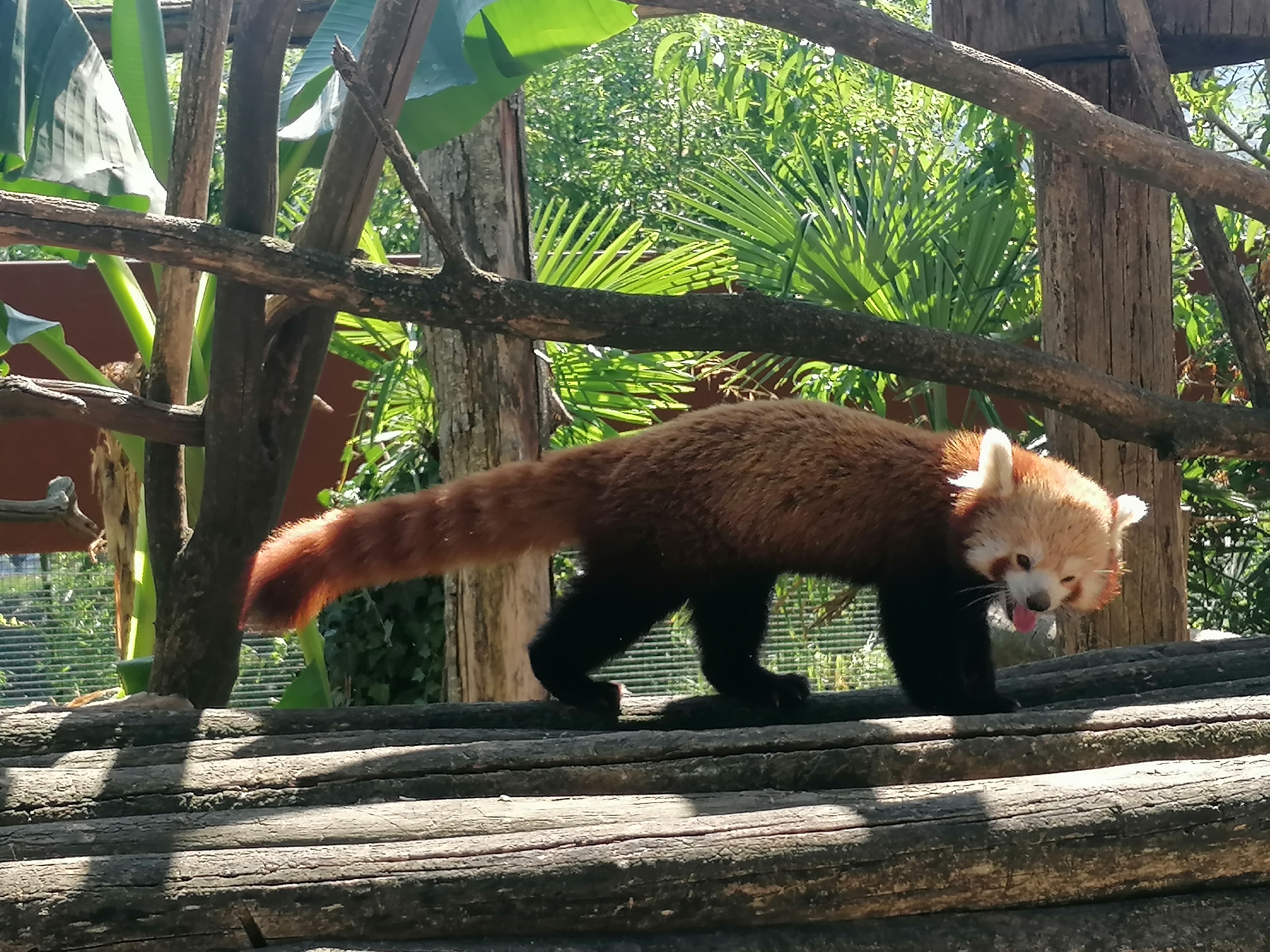 Photo n° 24 de l'avis de Gilles.. fait le 23/08/2023 à 12:57