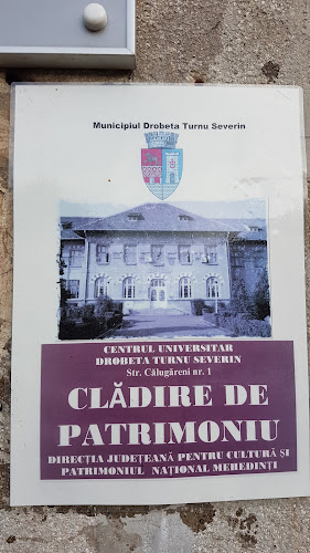 Opinii despre Centrul Universitar „Drobeta-Turnu Severin” în <nil> - Școală