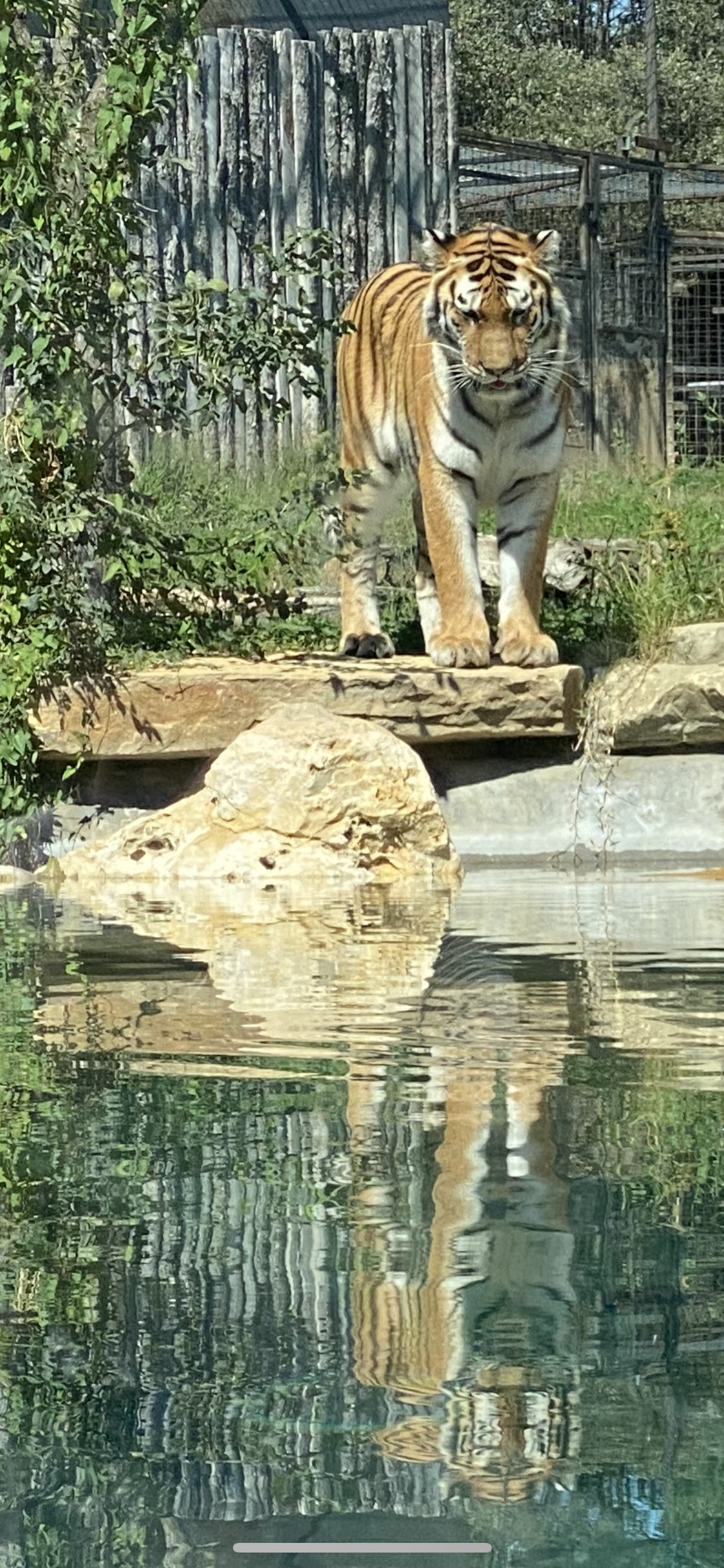 Photo n° 1 de l'avis de Bastien. fait le 08/09/2023 à 18:08