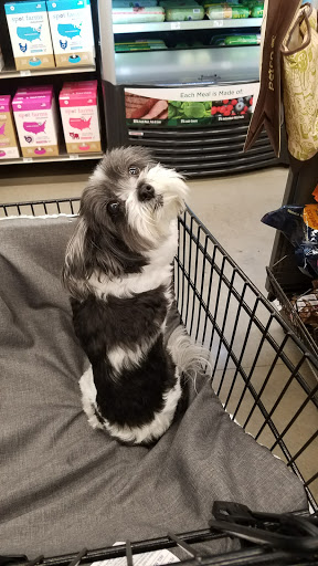 Pet Supply Store «Petco Animal Supplies», reviews and photos, 226 Thornton Drive, Dickson, TN 37055, USA