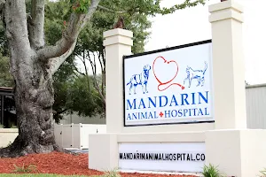 Mandarin Animal Hospital image