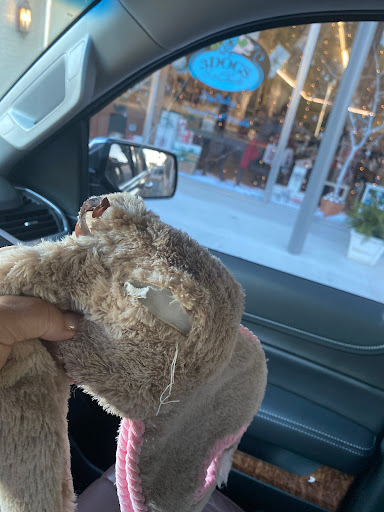 Pet Supply Store «3 Dogs and a Chick», reviews and photos, 130 Miracle Strip Pkwy SE, Fort Walton Beach, FL 32548, USA