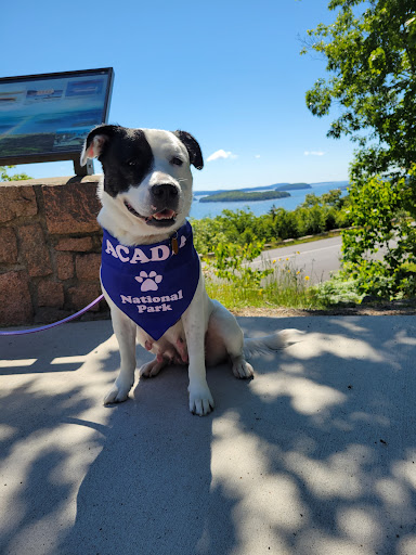 Pet Supply Store «The Fish & Bone, Portland ME», reviews and photos, 195 Commercial St, Portland, ME 04101, USA