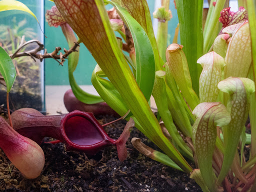 Museum «EcoTarium», reviews and photos, 222 Harrington Way, Worcester, MA 01604, USA