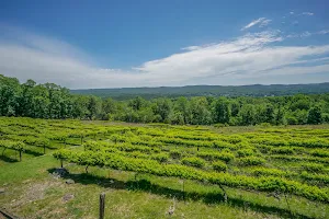 Stony Mountain Vineyards image