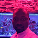 Photo n°1 de l'avis de Jamiu.d fait le 15/11/2018 à 12:43 sur le  H'ugo's Pizza-Bar-Lounge à Munich