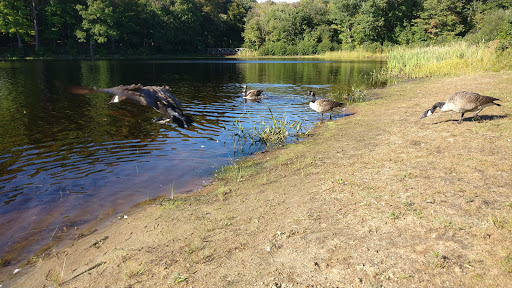 Park «Bethany Veterans Memorial Park», reviews and photos, 265 Beacon Rd, Bethany, CT 06524, USA