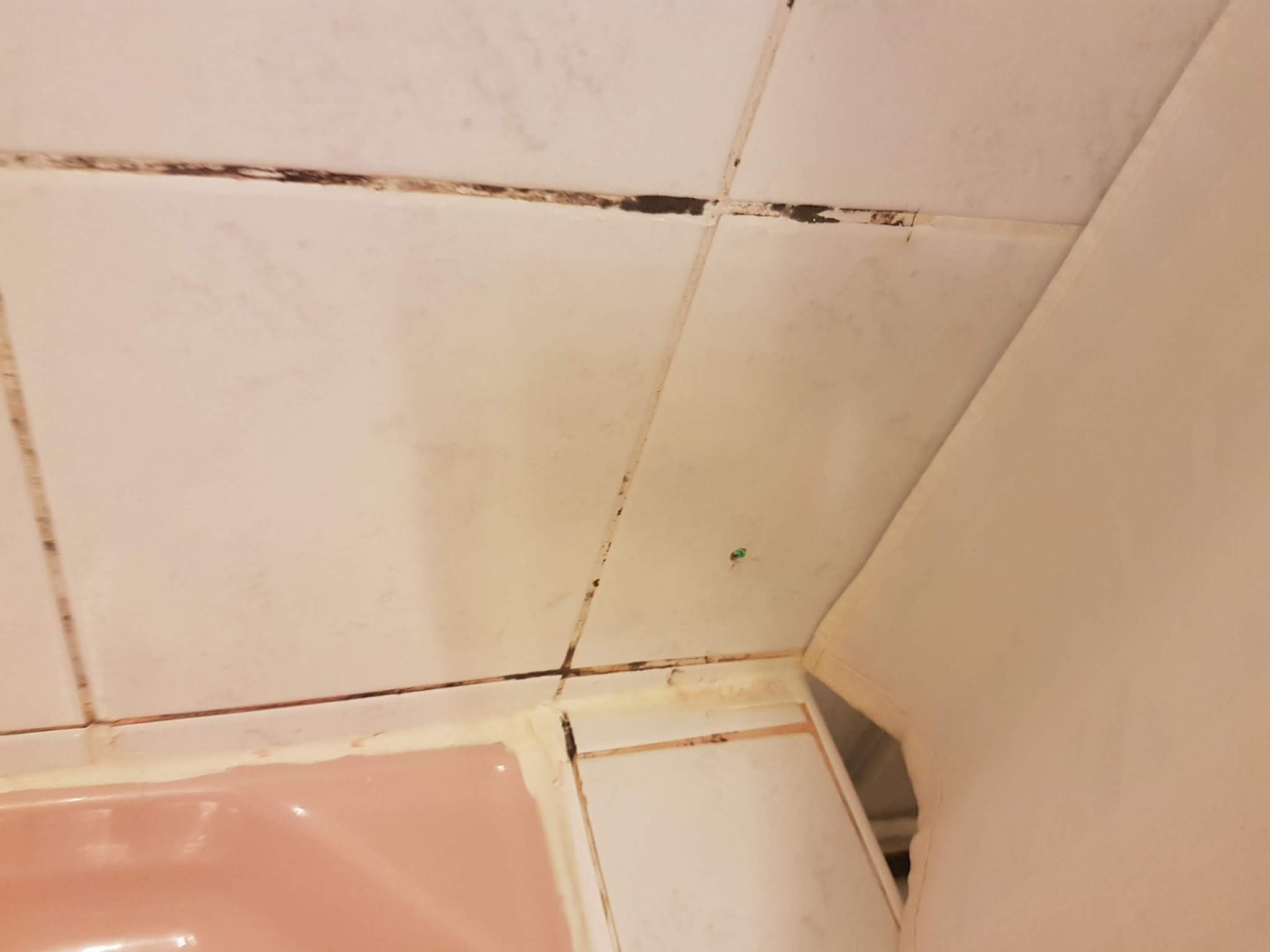Photo n° 3 de l'avis de fred. fait le 08/12/2018 à 09:00