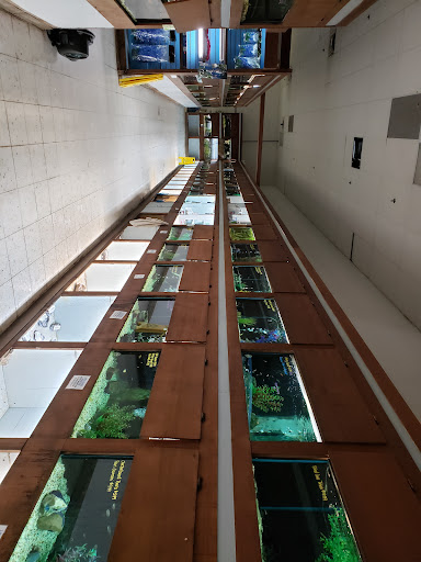 Pet Store «Pet World Warehouse Outlet», reviews and photos, 2148 W Beltline Hwy, Madison, WI 53713, USA