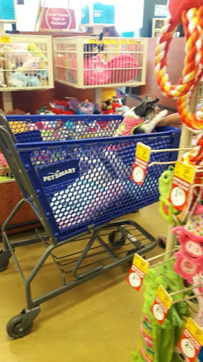 Pet Supply Store «PetSmart», reviews and photos, 9835 Chapman Ave, Garden Grove, CA 92841, USA