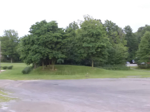 Used Car Dealer «Godard Auto Sales & Leasing Co», reviews and photos, 1252 Medina Rd, Medina, OH 44256, USA