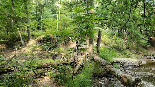 Nature Preserve «Strawberry Hill Nature Preserve», reviews and photos, 1537 Mt Hope Rd, Fairfield, PA 17320, USA