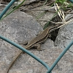 Photo n°8 de l'avis de Lotte.. fait le 29/05/2023 à 14:23 sur le  Griesserhof à Vahrn