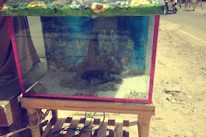 Aquarium Fish and Pet shop image