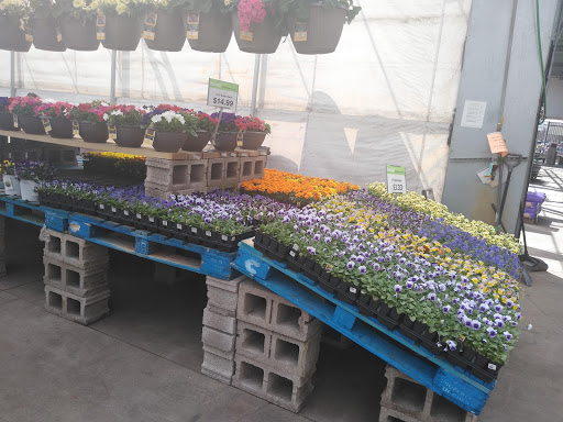 Grocery Store «Meijer», reviews and photos, 3710 Dix Hwy, Lincoln Park, MI 48146, USA