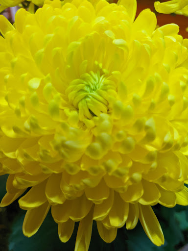 Florist «Rose Hills Flower Shop», reviews and photos, 3888 Workman Mill Rd, Whittier, CA 90601, USA