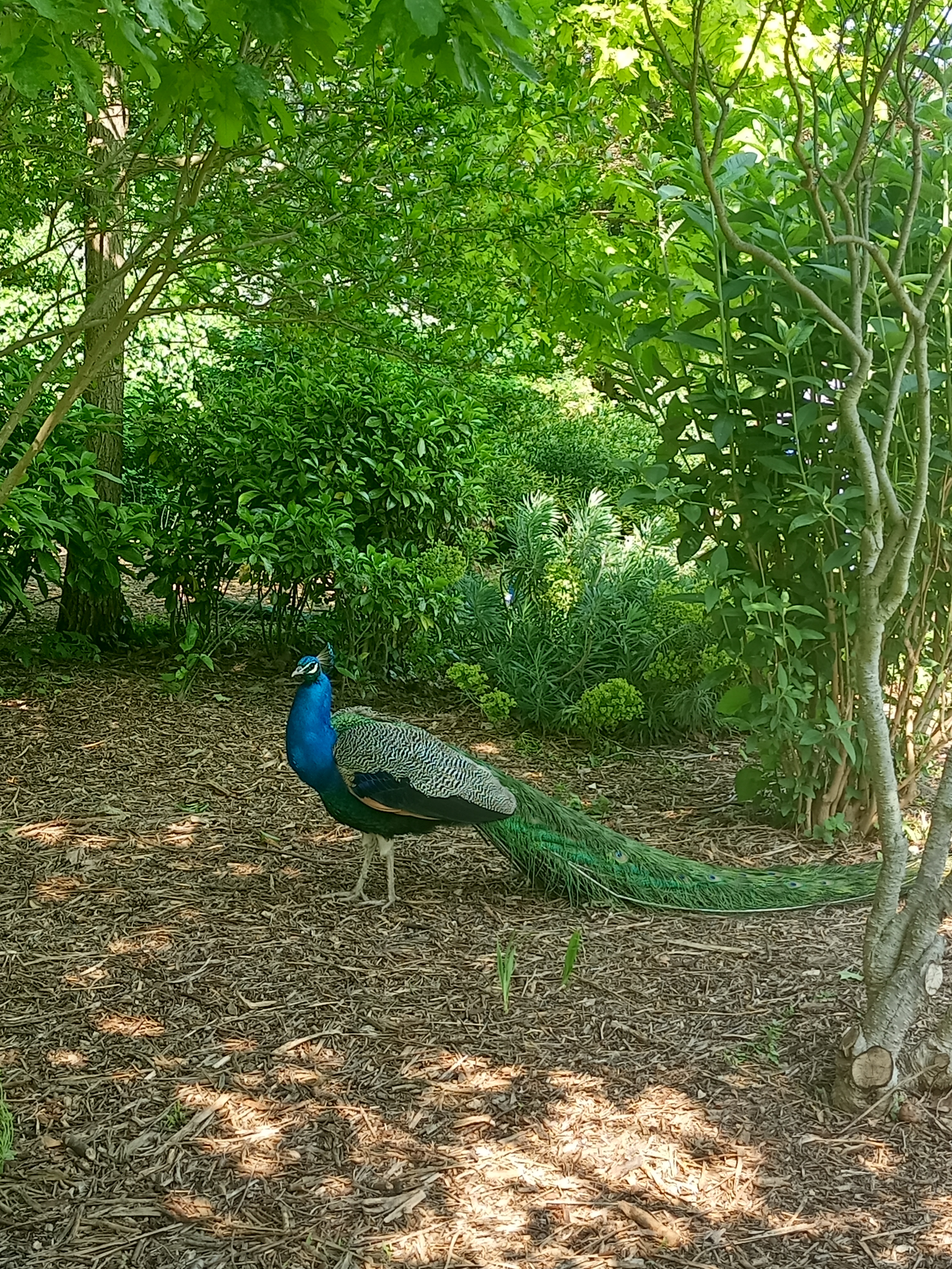 Photo n° 5 de l'avis de LUCIE.P fait le 16/05/2023 à 18:58