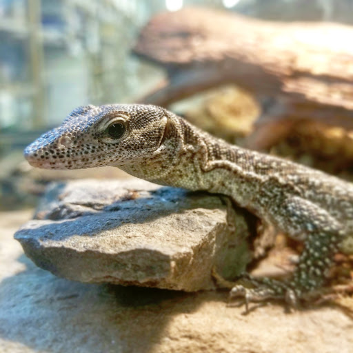 Pet Supply Store «CountryMax - Geneseo», reviews and photos, 4101 Lakeville Rd, Geneseo, NY 14454, USA