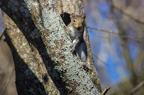 Tucker Photography - Photo 3 - Car repair in , Jacksonville